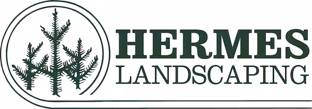 89507615-86dd-40c3-80df-1ed3bdd84121 (1)